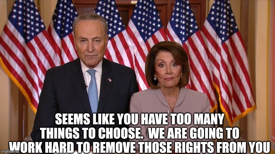 Chuck and Nancy | SEEMS LIKE YOU HAVE TOO MANY THINGS TO CHOOSE.  WE ARE GOING TO WORK HARD TO REMOVE THOSE RIGHTS FROM YOU | image tagged in chuck and nancy | made w/ Imgflip meme maker