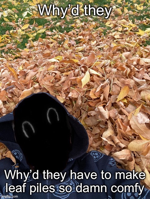 Murderous Fall Edition | Why’d they; Why’d they have to make leaf piles so damn comfy | image tagged in murderous fall edition | made w/ Imgflip meme maker