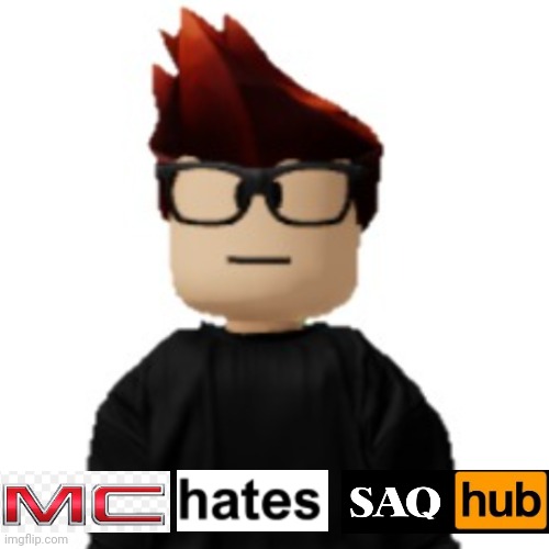 He obviously hates SAQ Hub because it's shitty. | image tagged in saq hub,mc,memes,saqhub | made w/ Imgflip meme maker