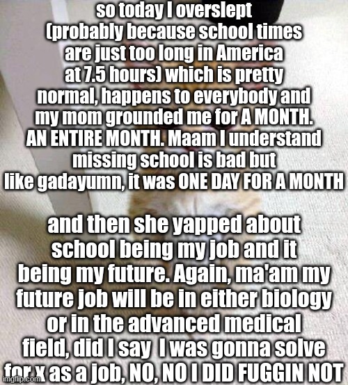 rtjjdfnhxgvjohbscgrdfjhvbfhjrfcdjlsbgjvjhbsrhdf | so today I overslept (probably because school times are just too long in America at 7.5 hours) which is pretty normal, happens to everybody and my mom grounded me for A MONTH. AN ENTIRE MONTH. Maam I understand missing school is bad but like gadayumn, it was ONE DAY FOR A MONTH; and then she yapped about school being my job and it being my future. Again, ma'am my future job will be in either biology or in the advanced medical field, did I say  I was gonna solve for x as a job, NO, NO I DID FUGGIN NOT | image tagged in i,hate,my,life,so,much | made w/ Imgflip meme maker