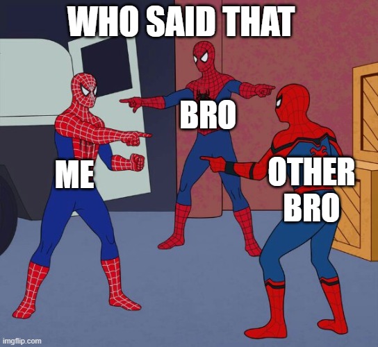 Spider Man Triple | WHO SAID THAT; BRO; ME; OTHER BRO | image tagged in spider man triple | made w/ Imgflip meme maker