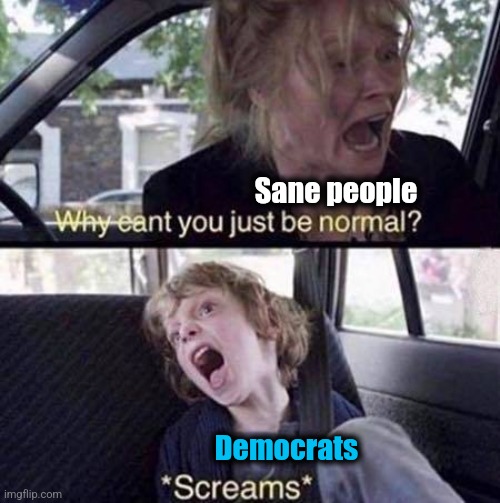 Why Can't You Just Be Normal | Sane people Democrats | image tagged in why can't you just be normal | made w/ Imgflip meme maker