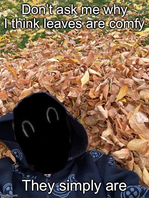 Murderous Fall Edition | Don’t ask me why I think leaves are comfy; They simply are | image tagged in murderous fall edition | made w/ Imgflip meme maker