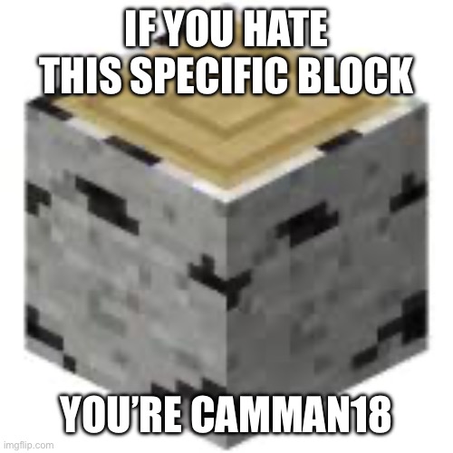 IF YOU HATE THIS SPECIFIC BLOCK; YOU’RE CAMMAN18 | made w/ Imgflip meme maker
