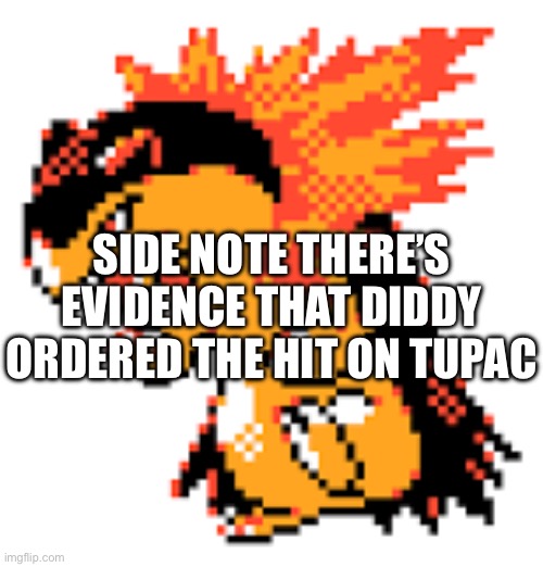 Typhlosion | SIDE NOTE THERE’S EVIDENCE THAT DIDDY ORDERED THE HIT ON TUPAC | image tagged in typhlosion | made w/ Imgflip meme maker