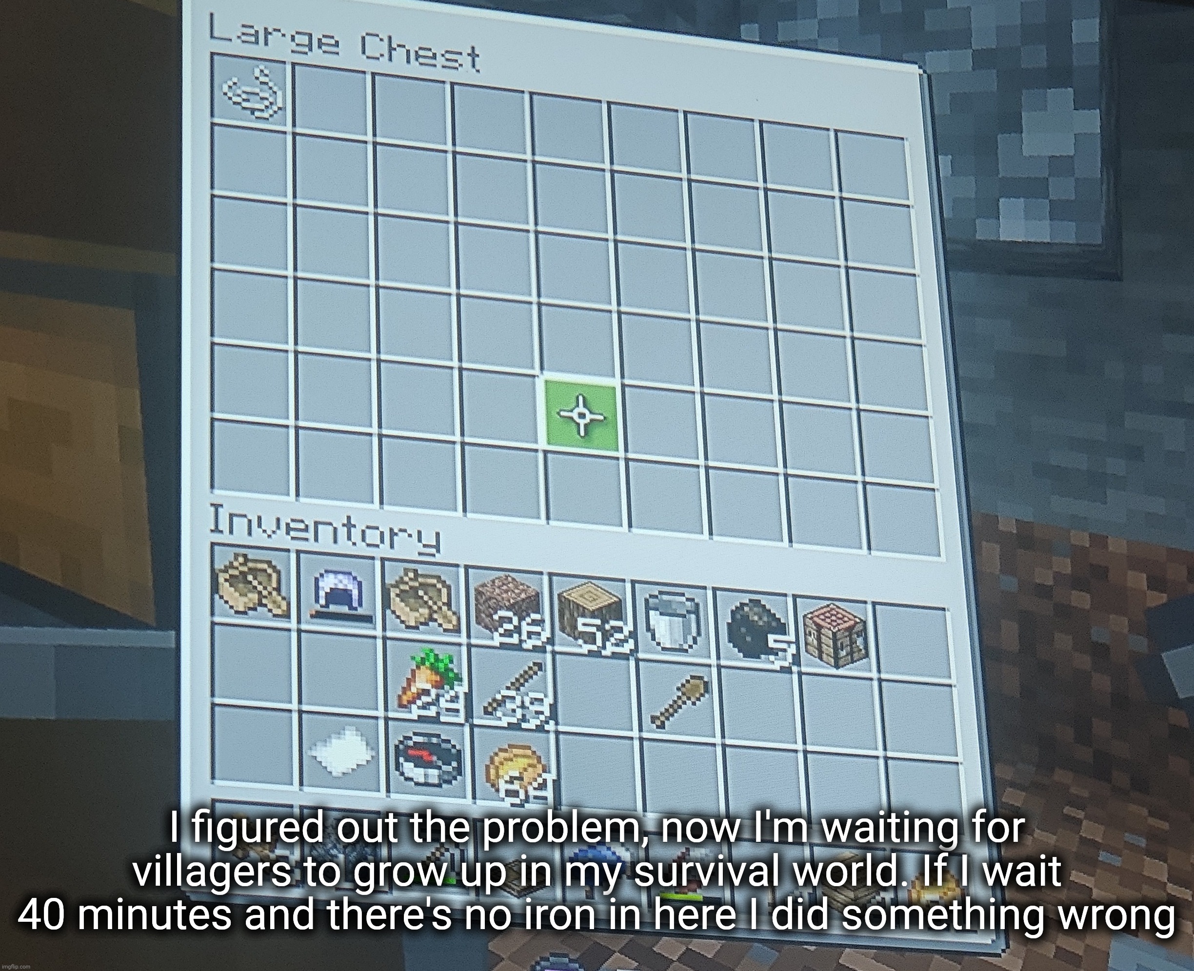 I also had to troubleshoot for when cats spawn in the farm so now I occasionally hear one dying | I figured out the problem, now I'm waiting for villagers to grow up in my survival world. If I wait 40 minutes and there's no iron in here I did something wrong | made w/ Imgflip meme maker