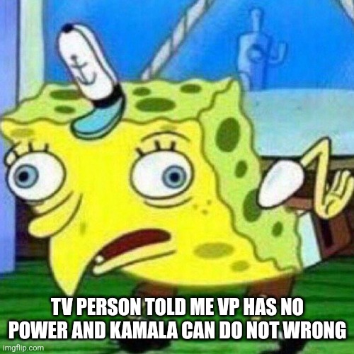 triggerpaul | TV PERSON TOLD ME VP HAS NO POWER AND KAMALA CAN DO NOT WRONG | image tagged in triggerpaul | made w/ Imgflip meme maker