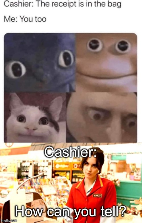 In the bag | Cashier:; How can you tell? | image tagged in cashier meme,bag,in the bag | made w/ Imgflip meme maker