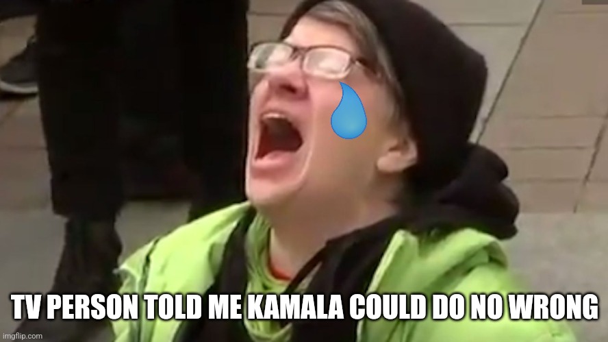 Screaming Liberal  | TV PERSON TOLD ME KAMALA COULD DO NO WRONG | image tagged in screaming liberal | made w/ Imgflip meme maker