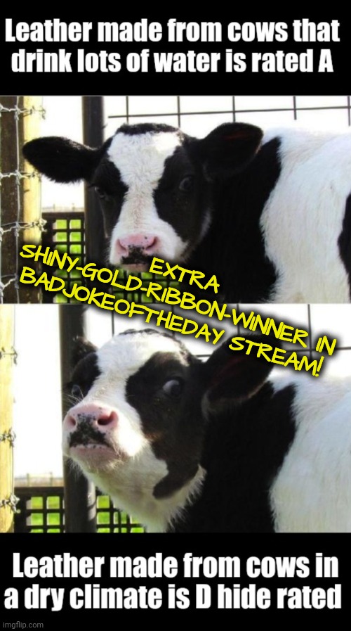 Memedave's Got Milk | EXTRA SHINY-GOLD-RIBBON-WINNER IN BADJOKEOFTHEDAY STREAM! | image tagged in bad joke,winner | made w/ Imgflip meme maker