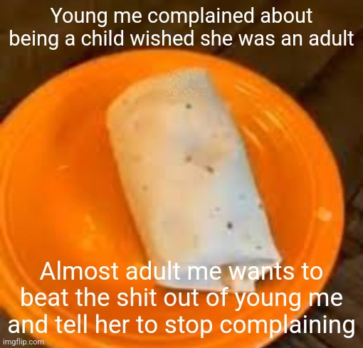 JimmyHere Burrito | Young me complained about being a child wished she was an adult; Almost adult me wants to beat the shit out of young me and tell her to stop complaining | image tagged in jimmyhere burrito | made w/ Imgflip meme maker