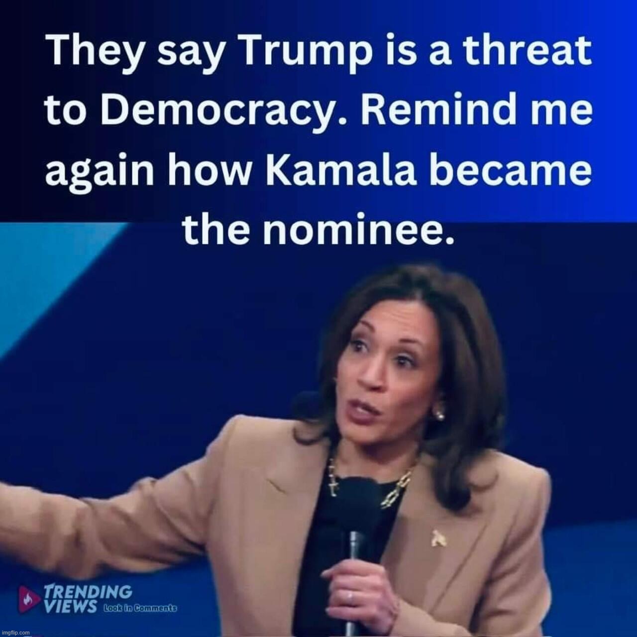 Remind me again how Kamala became the nominee. | image tagged in democracy,fake news,threat to democracy,voter fraud,election fraud,wait that's illegal | made w/ Imgflip meme maker