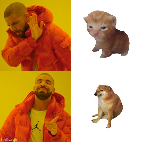 Drake Hotline Bling | image tagged in memes,drake hotline bling | made w/ Imgflip meme maker