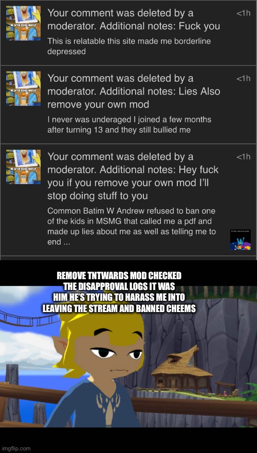 REMOVE TNTWARDS MOD CHECKED THE DISAPPROVAL LOGS IT WAS HIM HE’S TRYING TO HARASS ME INTO LEAVING THE STREAM AND BANNED CHEEMS | image tagged in high toon link | made w/ Imgflip meme maker