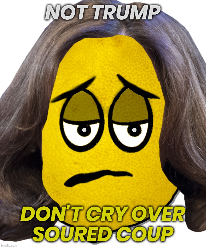 NOT TRUMP - SOUR LEMONS | NOT TRUMP; DON'T CRY OVER
SOURED COUP | image tagged in kamala harris,not trump,biden,coup,liar,soured | made w/ Imgflip meme maker