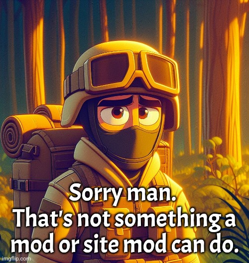 Sad US Soldier | Sorry man. 
That's not something a mod or site mod can do. | image tagged in sad us soldier | made w/ Imgflip meme maker