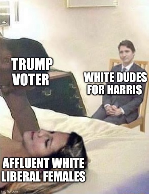 Cuck Trudeau | TRUMP VOTER; WHITE DUDES FOR HARRIS; AFFLUENT WHITE LIBERAL FEMALES | image tagged in cuck trudeau,politics,political meme,democrats,kamala harris | made w/ Imgflip meme maker