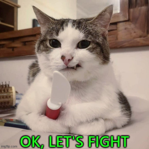 OK, LET'S FIGHT | made w/ Imgflip meme maker