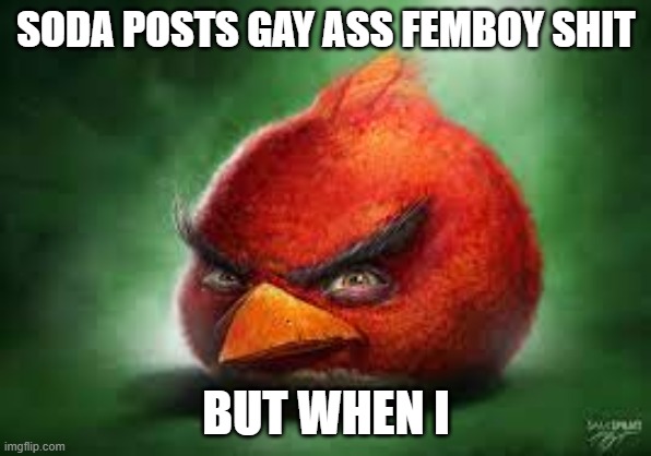 Realistic Red Angry Birds | SODA POSTS GAY ASS FEMBOY SHIT; BUT WHEN I | image tagged in realistic red angry birds | made w/ Imgflip meme maker