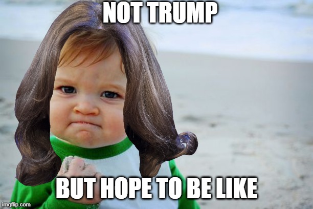 NOT TRUMP - SOMEDAY | NOT TRUMP; BUT HOPE TO BE LIKE | image tagged in kamala harris,not trump,biden,coup,liar,someday | made w/ Imgflip meme maker