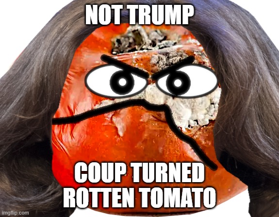 NOT TRUMP - ROTTEN TOMATO | NOT TRUMP; COUP TURNED
ROTTEN TOMATO | image tagged in kamala harris,not trump,biden,coup,liar,rotten tomato | made w/ Imgflip meme maker