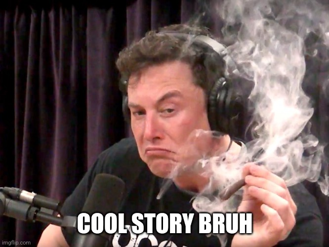 Elon Musk Weed | COOL STORY BRUH | image tagged in elon musk weed | made w/ Imgflip meme maker