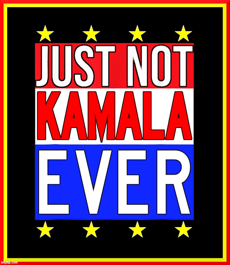 NOT KAMALA EVER | image tagged in kamala harris,not kamala,biden,coup,liar,kamala | made w/ Imgflip meme maker