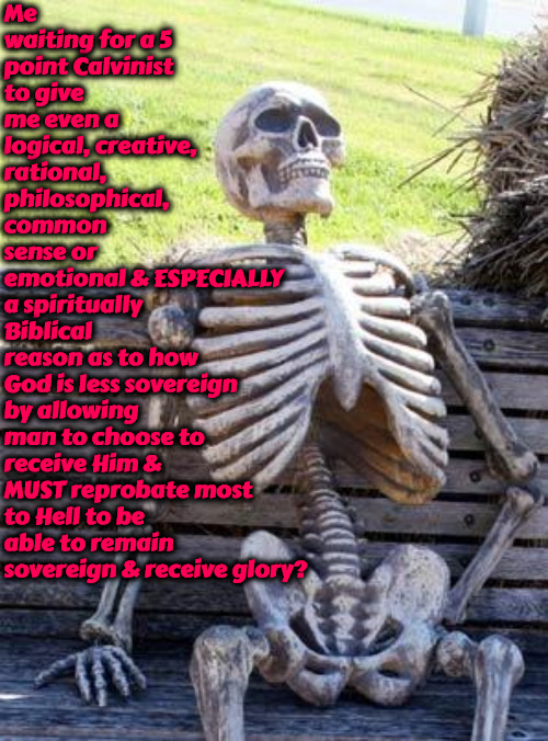 Me Waiting For 5 Point Calvinists | Me waiting for a 5 point Calvinist to give me even a logical, creative, rational, philosophical, common sense or emotional & ESPECIALLY; a spiritually Biblical reason as to how God is less sovereign by allowing man to choose to receive Him & MUST reprobate most to Hell to be able to remain sovereign & receive glory? | image tagged in waiting skeleton,calvinism,arminian,molinism,ridiculous,nonsensical | made w/ Imgflip meme maker