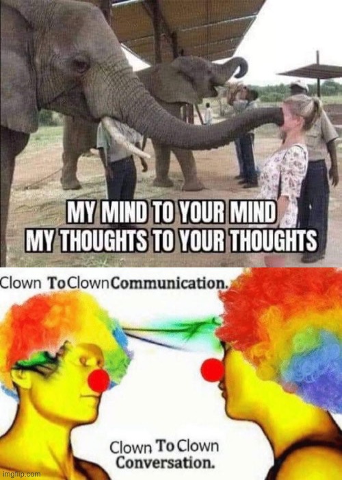 image tagged in clown to clown conversation | made w/ Imgflip meme maker