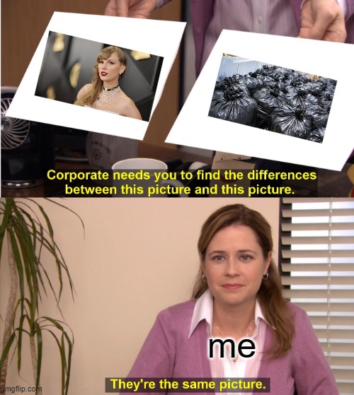 New meme i guess | me | image tagged in memes,they're the same picture | made w/ Imgflip meme maker