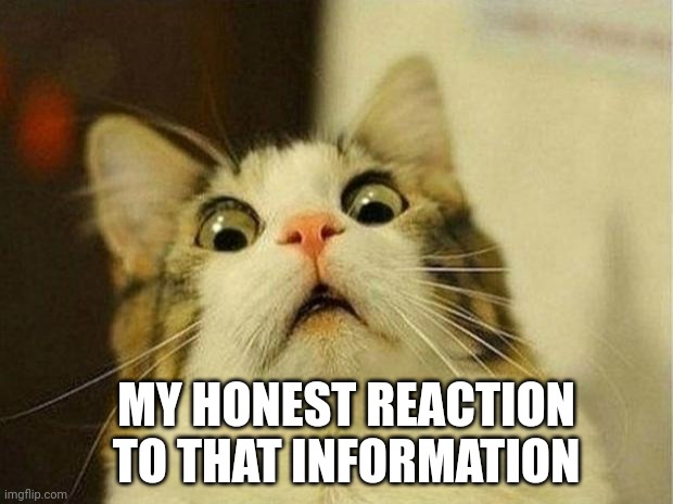 Scared Cat | MY HONEST REACTION TO THAT INFORMATION | image tagged in memes,scared cat | made w/ Imgflip meme maker