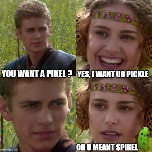 Want a $PIKEL ? | YOU WANT A PIKEL ? YES, I WANT UR PICKLE; OH U MEANT $PIKEL | image tagged in anakin padme 4 panel | made w/ Imgflip meme maker