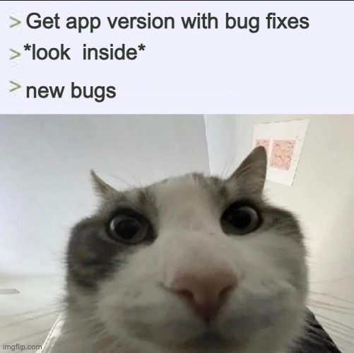 The cycle must repeat | Get app version with bug fixes; *look  inside*; new bugs | image tagged in cat looks inside,development,work | made w/ Imgflip meme maker