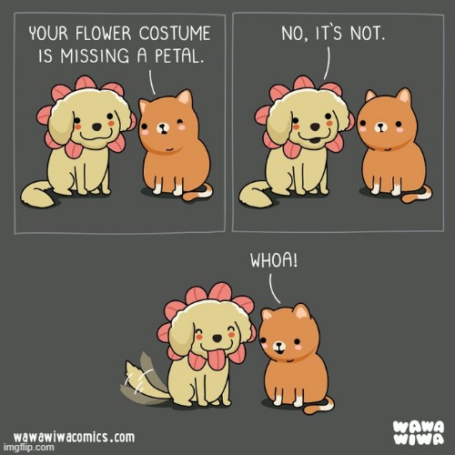 image tagged in dog,cat,halloween,flower,costume,tongue | made w/ Imgflip meme maker