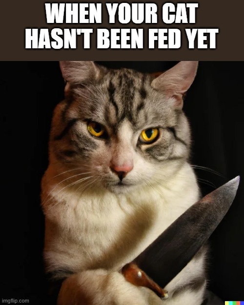 When Your Cat Hasn't Been Fed Yet | WHEN YOUR CAT HASN'T BEEN FED YET | image tagged in cat,fed,knife,grumpy cat,funny,memes | made w/ Imgflip meme maker