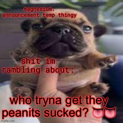 actual dead stream lmao | who tryna get they peanits sucked? 👅👅 | image tagged in pug temp | made w/ Imgflip meme maker