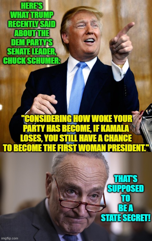 Ouch, eh? | HERE'S WHAT TRUMP RECENTLY SAID ABOUT THE DEM PARTY'S SENATE LEADER, CHUCK SCHUMER:; "CONSIDERING HOW WOKE YOUR PARTY HAS BECOME, IF KAMALA LOSES, YOU STILL HAVE A CHANCE TO BECOME THE FIRST WOMAN PRESIDENT."; THAT'S SUPPOSED TO BE A STATE SECRET! | image tagged in yep | made w/ Imgflip meme maker