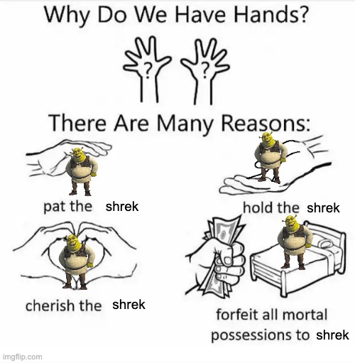 umm | shrek; shrek; shrek; shrek | image tagged in why do we have hands all blank | made w/ Imgflip meme maker