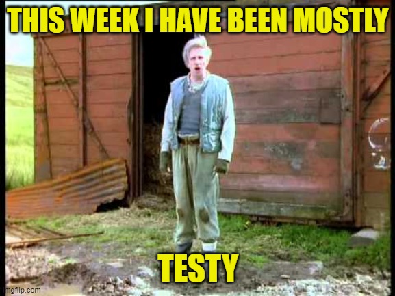 Jesse Mostly Testy | THIS WEEK I HAVE BEEN MOSTLY; TESTY | image tagged in jesse fast show,testy | made w/ Imgflip meme maker