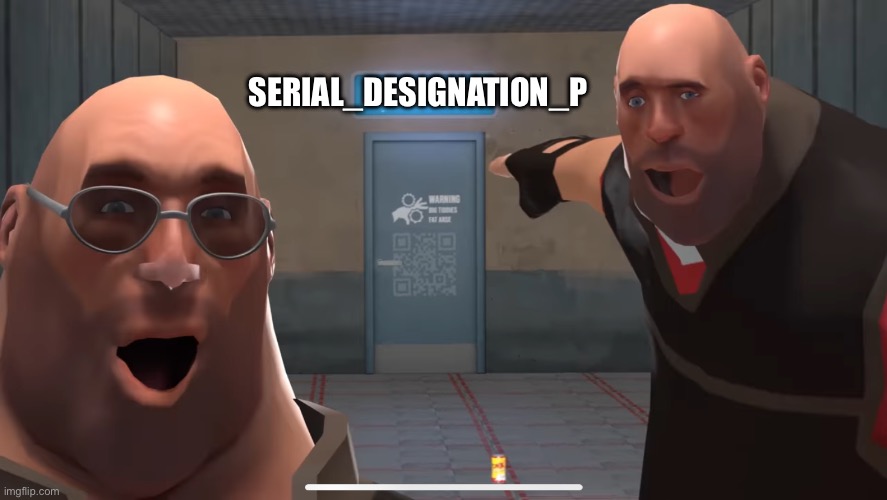 Tf2 heavy point meme | SERIAL_DESIGNATION_P | image tagged in tf2 heavy point meme | made w/ Imgflip meme maker