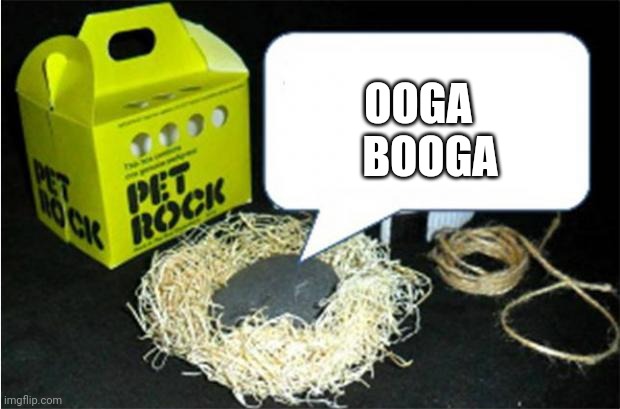 Ooga booga | OOGA; BOOGA | image tagged in pet rock | made w/ Imgflip meme maker