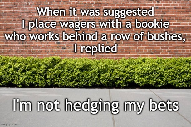 Hedge bets | When it was suggested
I place wagers with a bookie
who works behind a row of bushes,
I replied; I'm not hedging my bets | image tagged in wordplay | made w/ Imgflip meme maker