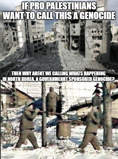 Remember, North Korea is doing the exact same thing that people accuse Israel of. | IF PRO PALESTINIANS WANT TO CALL THIS A GENOCIDE; THEN WHY ARENT WE CALLING WHATS HAPPENING IN NORTH KOREA, A GOVERNMENRT SPONSORED GENOCIDE? | image tagged in north korea,palestine,genocide | made w/ Imgflip meme maker