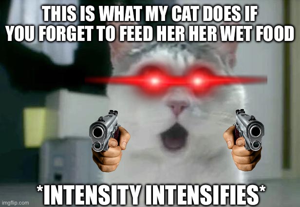 FEED HER NOW!!! | THIS IS WHAT MY CAT DOES IF YOU FORGET TO FEED HER HER WET FOOD; *INTENSITY INTENSIFIES* | image tagged in memes,omg cat | made w/ Imgflip meme maker