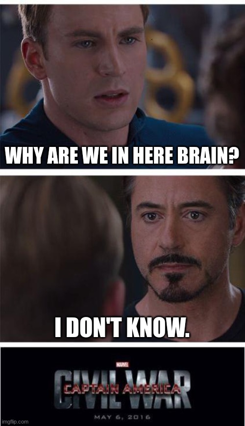 Marvel Civil War 1 | WHY ARE WE IN HERE BRAIN? I DON'T KNOW. | image tagged in memes,marvel civil war 1 | made w/ Imgflip meme maker