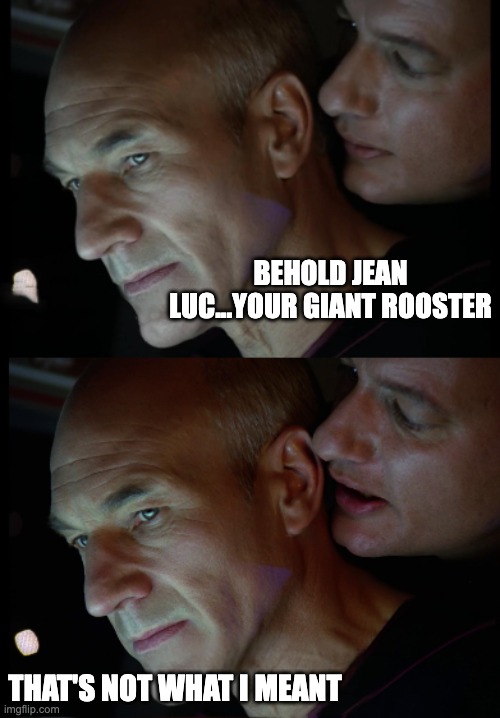 Q Whispers to Picard | BEHOLD JEAN LUC...YOUR GIANT ROOSTER; THAT'S NOT WHAT I MEANT | image tagged in q whispers to picard | made w/ Imgflip meme maker