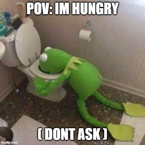 bro FR | POV: IM HUNGRY; ( DONT ASK ) | image tagged in kermit the frog vomiting in toilet | made w/ Imgflip meme maker