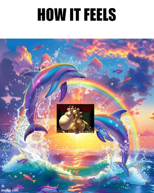 Dolphin Symphony | HOW IT FEELS | image tagged in dolphin symphony | made w/ Imgflip meme maker