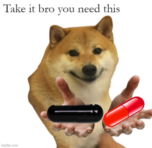 Take It Bro You Need This Blank | image tagged in take it bro you need this blank | made w/ Imgflip meme maker