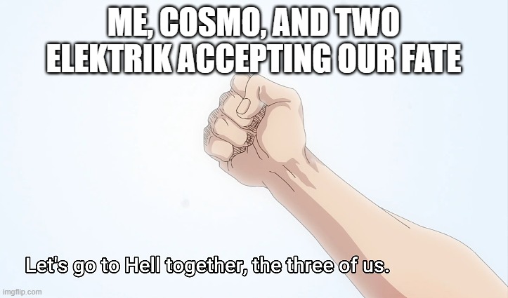 bro FR we coooked | ME, COSMO, AND TWO ELEKTRIK ACCEPTING OUR FATE | image tagged in let's go to hell together | made w/ Imgflip meme maker